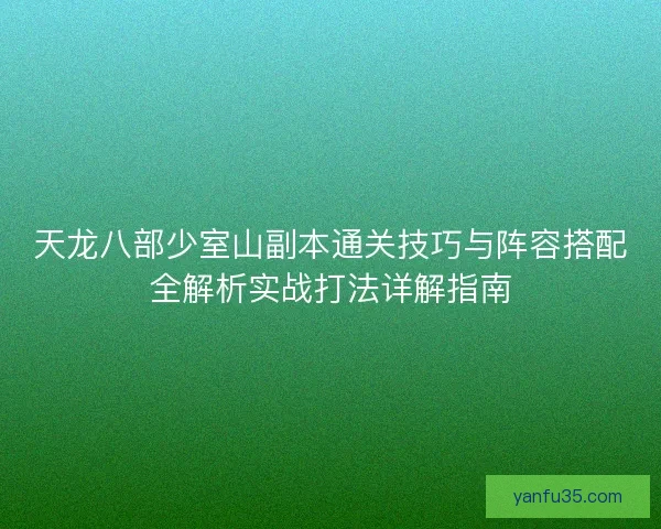 天龙八部少室山副本通关技巧与阵容搭配全解析实战打法详解指南