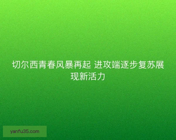切尔西青春风暴再起 进攻端逐步复苏展现新活力 切尔西青春风暴再起 进攻端逐步复苏展现新活力